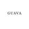 Guava