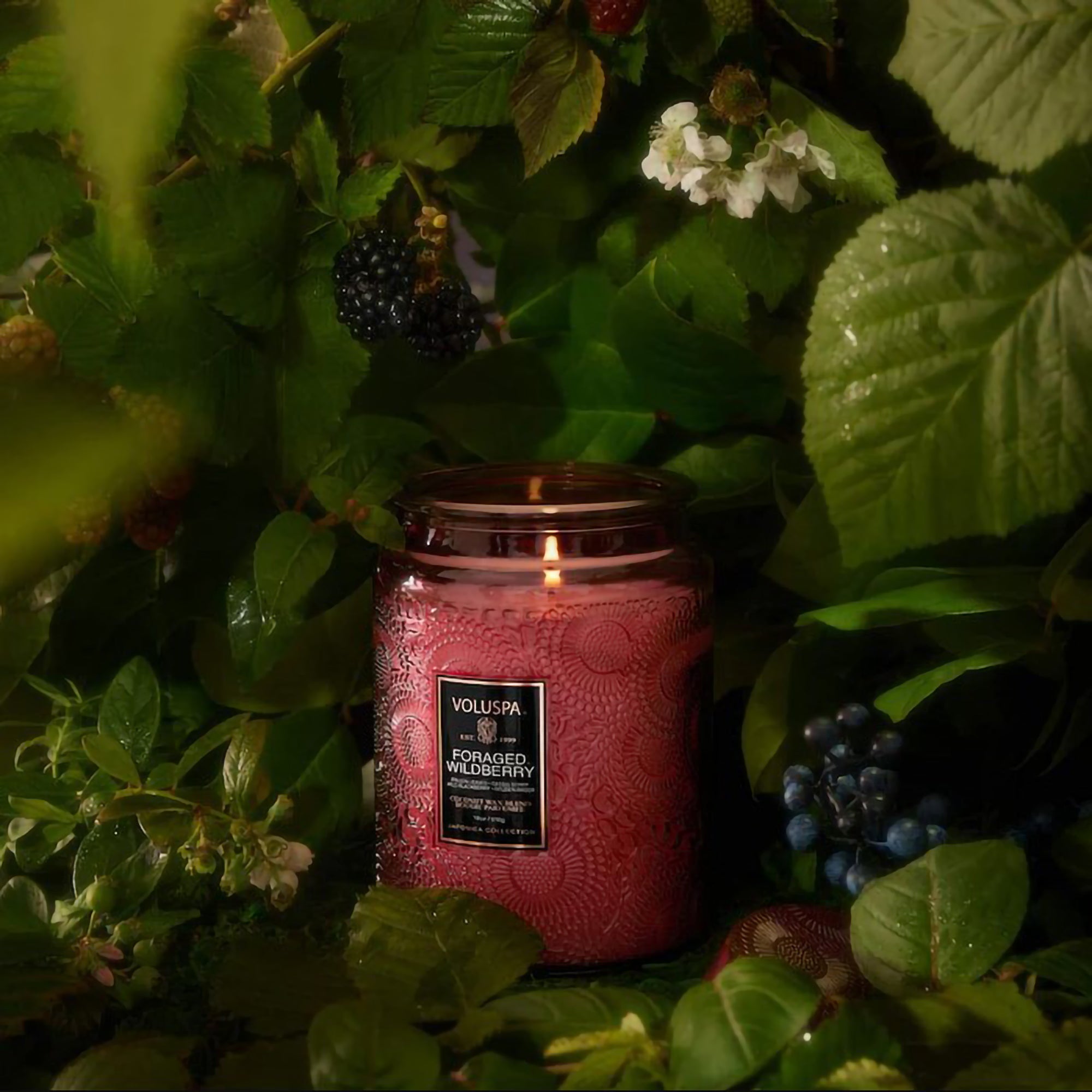 Voluspa Japonica Large Jar Candle 18oz / Foraged Wildberry